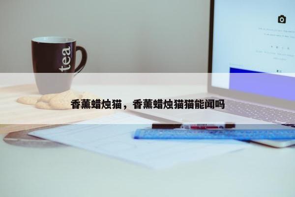 香薰蜡烛猫，香薰蜡烛猫猫能闻吗