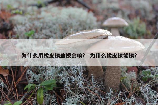 为什么用橡皮擦盖板会响？ 为什么橡皮擦能擦？