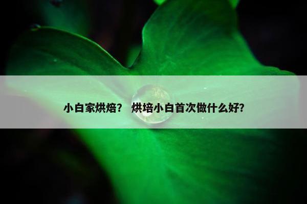 小白家烘焙？ 烘培小白首次做什么好？
