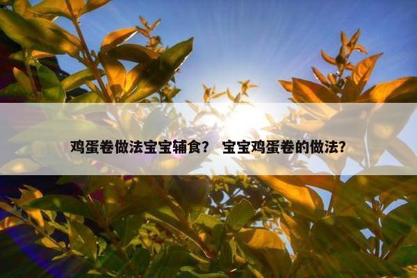 鸡蛋卷做法宝宝辅食？ 宝宝鸡蛋卷的做法？