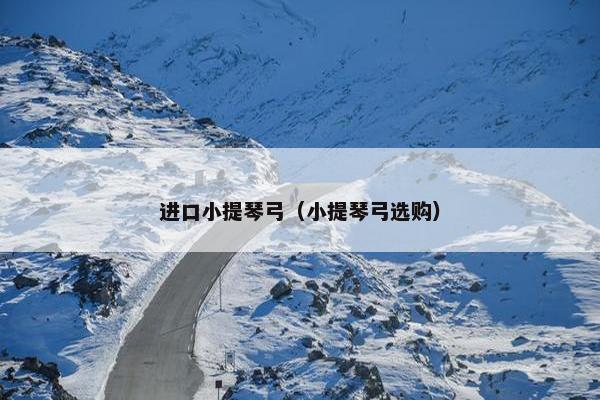 进口小提琴弓（小提琴弓选购）