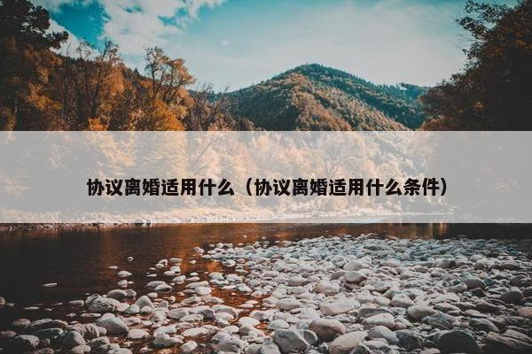 协议离婚适用什么（协议离婚适用什么条件）