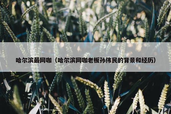 哈尔滨最网咖（哈尔滨网咖老板孙伟民的背景和经历）