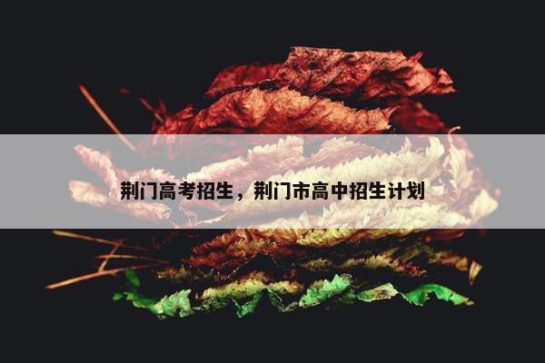 荆门高考招生，荆门市高中招生计划