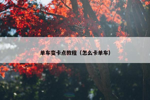 单车变卡点教程（怎么卡单车）