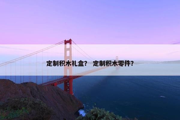定制积木礼盒？ 定制积木零件？
