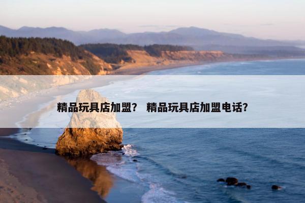 精品玩具店加盟？ 精品玩具店加盟电话？