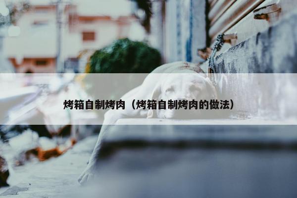 烤箱自制烤肉（烤箱自制烤肉的做法）