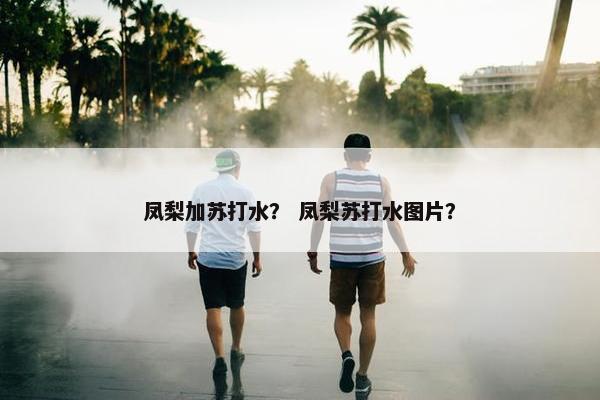 凤梨加苏打水？ 凤梨苏打水图片？