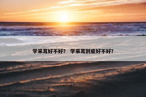 学采耳好不好？ 学采耳到底好不好？