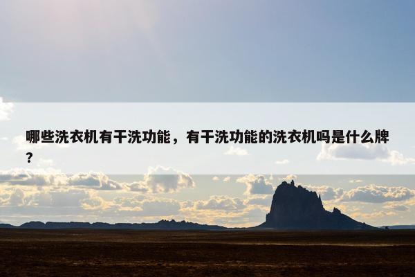 哪些洗衣机有干洗功能，有干洗功能的洗衣机吗是什么牌?