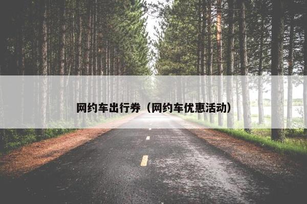 网约车出行券（网约车优惠活动）