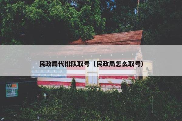 民政局代排队取号（民政局怎么取号）