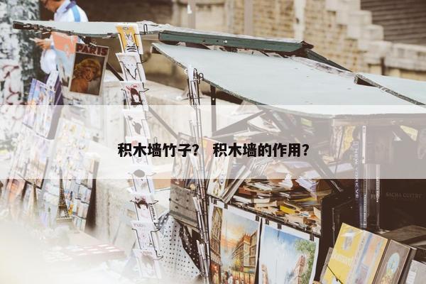 积木墙竹子？ 积木墙的作用？