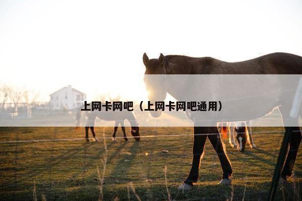 上网卡网吧（上网卡网吧通用）