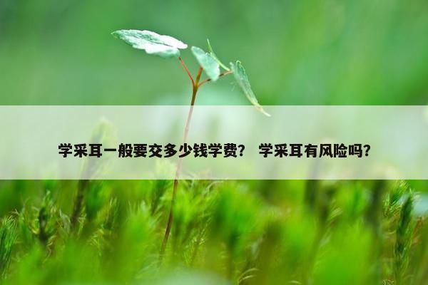 学采耳一般要交多少钱学费？ 学采耳有风险吗？