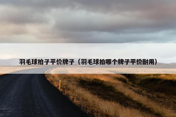 羽毛球拍子平价牌子（羽毛球拍哪个牌子平价耐用）