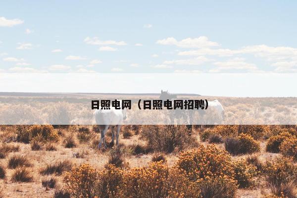 日照电网（日照电网招聘）