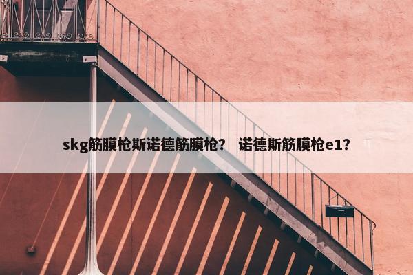 skg筋膜枪斯诺德筋膜枪？ 诺德斯筋膜枪e1？