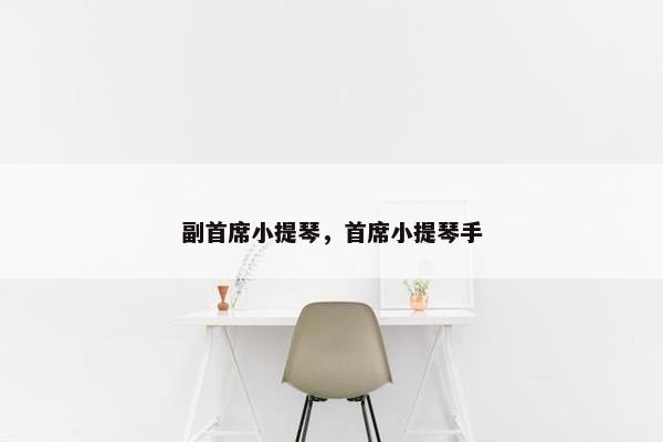 副首席小提琴，首席小提琴手