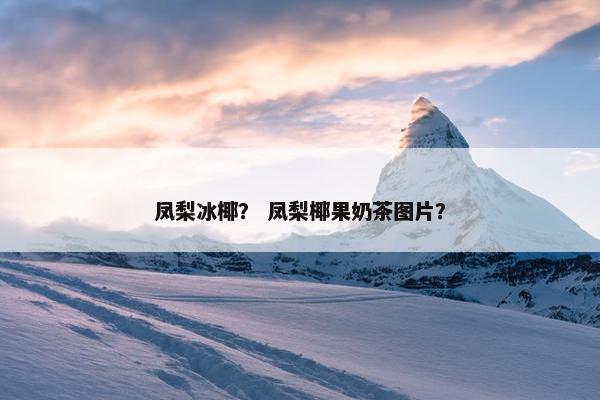凤梨冰椰？ 凤梨椰果奶茶图片？