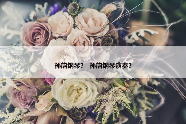 孙韵钢琴？ 孙韵钢琴演奏？