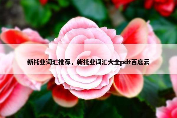 新托业词汇推荐，新托业词汇大全pdf百度云