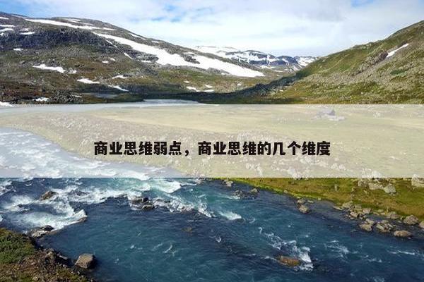商业思维弱点，商业思维的几个维度