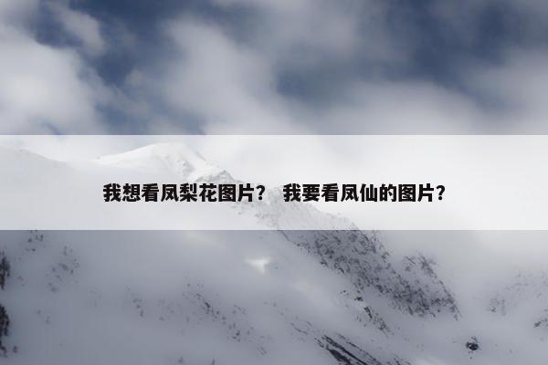 我想看凤梨花图片？ 我要看凤仙的图片？