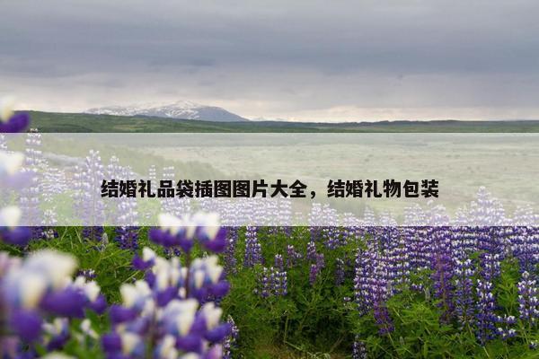 结婚礼品袋插图图片大全，结婚礼物包装