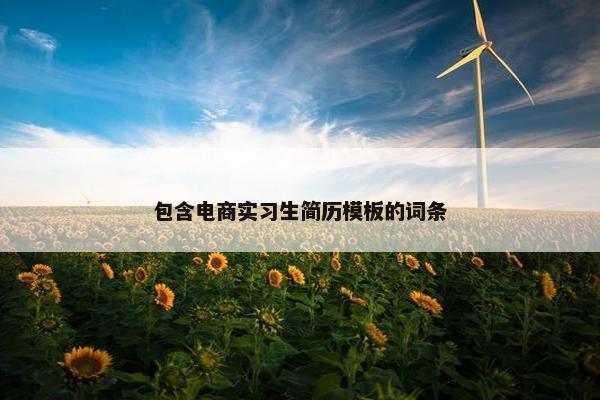 包含电商实习生简历模板的词条