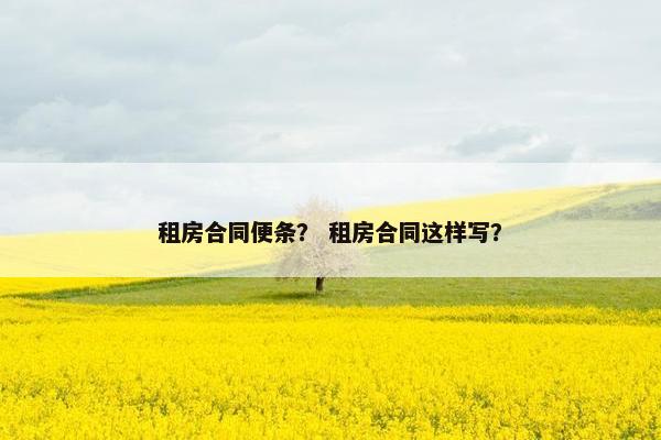 租房合同便条？ 租房合同这样写？