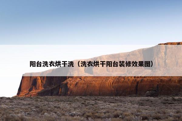 阳台洗衣烘干洗（洗衣烘干阳台装修效果图）