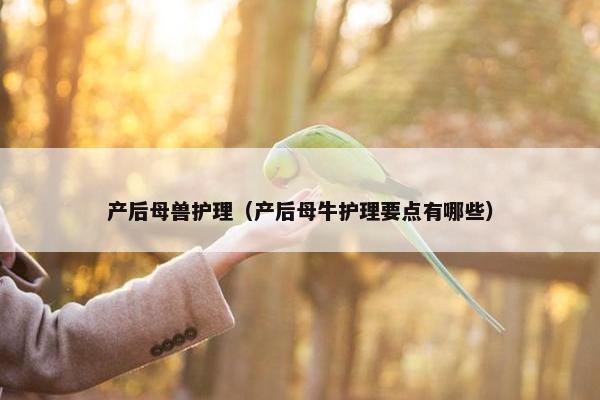 产后母兽护理（产后母牛护理要点有哪些）