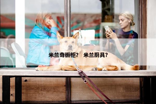 米兰奇橱柜？ 米兰厨具？
