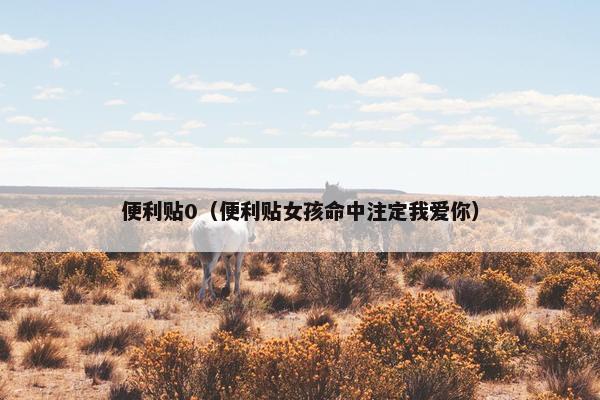 便利贴0（便利贴女孩命中注定我爱你）