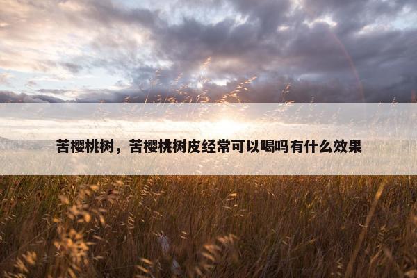 苦樱桃树，苦樱桃树皮经常可以喝吗有什么效果