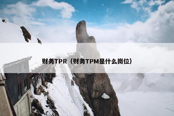 财务TPR（财务TPM是什么岗位）