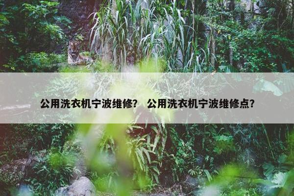 公用洗衣机宁波维修？ 公用洗衣机宁波维修点？