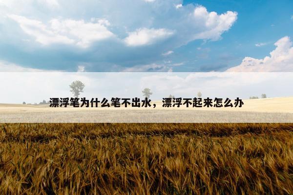 漂浮笔为什么笔不出水，漂浮不起来怎么办