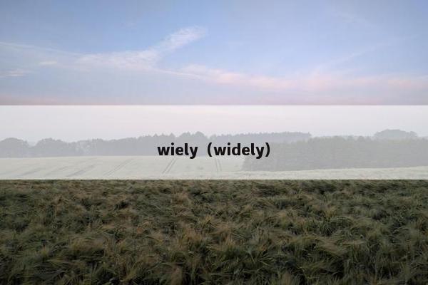 wiely（widely）