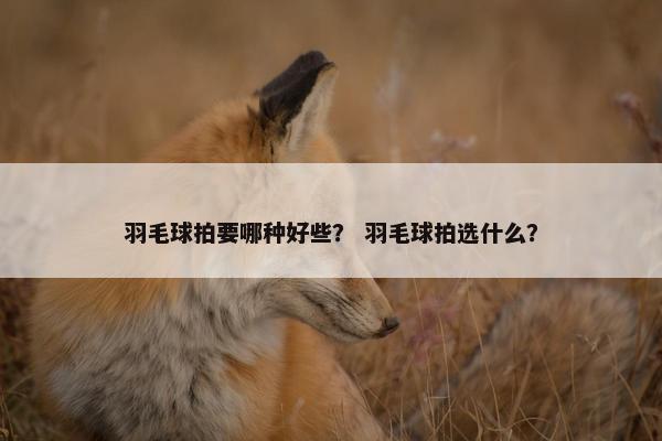 羽毛球拍要哪种好些？ 羽毛球拍选什么？