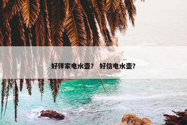 好伴家电水壶？ 好信电水壶？