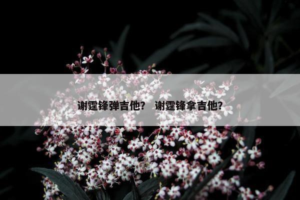 谢霆锋弹吉他？ 谢霆锋拿吉他？