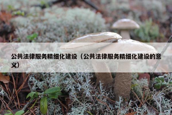 公共法律服务精细化建设（公共法律服务精细化建设的意义）