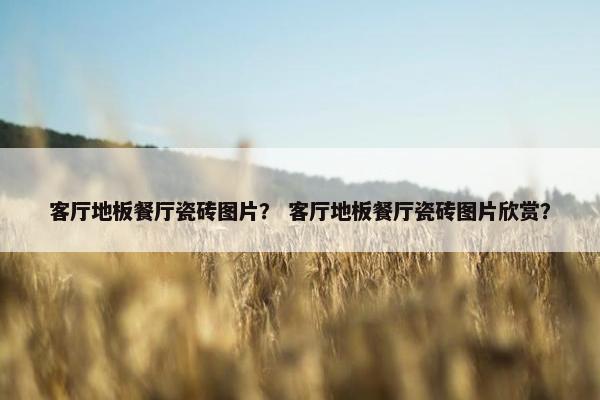 客厅地板餐厅瓷砖图片？ 客厅地板餐厅瓷砖图片欣赏？