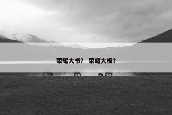 荣耀大书？ 荣耀大板？