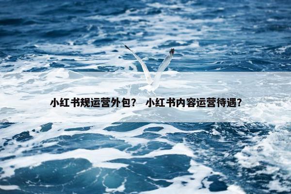 小红书规运营外包？ 小红书内容运营待遇？