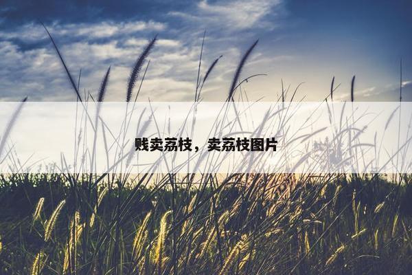 贱卖荔枝，卖荔枝图片