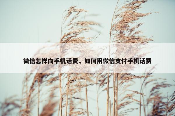 微信怎样向手机话费，如何用微信支付手机话费